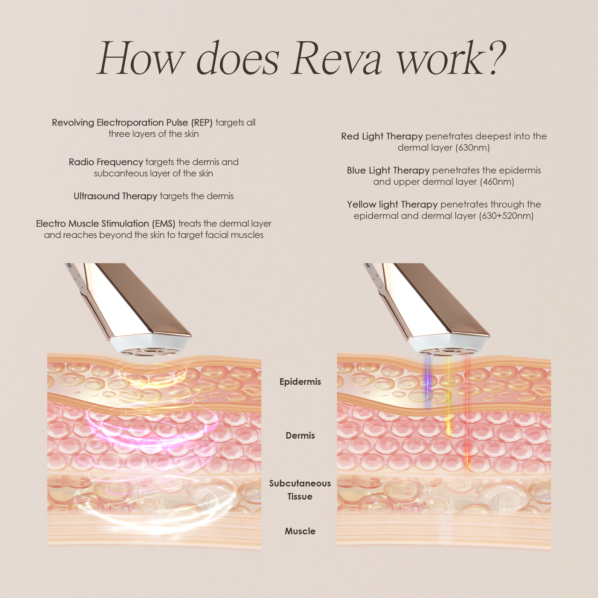 REVA | Instant Age Renewal Wand - Project E Beauty